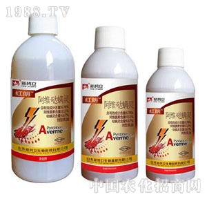 ����-�t��