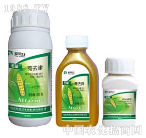 ����-���