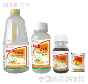 ����-�t�z