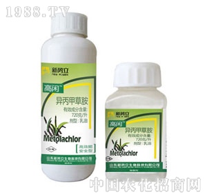 ����-���e