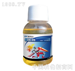 ����-����