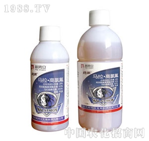 ����-��(zh��n)��