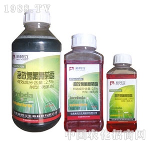 ����-�ȷ������