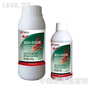 ����-ȫ��