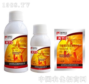 ����-���¼t