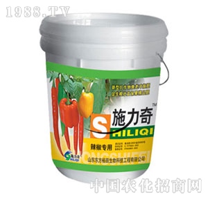 ��ԣ����-ʩ������������