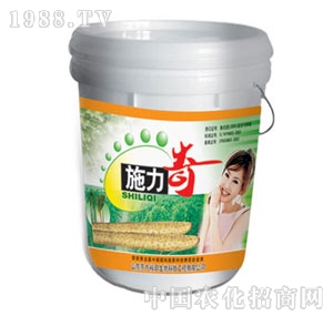 ��ԣ����-ʩ����ɽˎ����