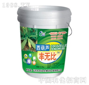 ��ԣ����-�����J�S�o��