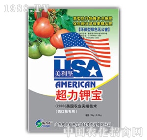 ��ԣ����-����⛌����ь�����