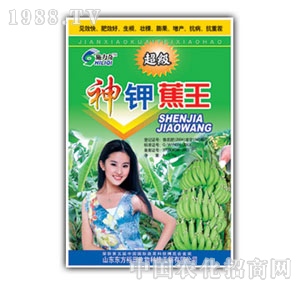 ��ԣ����-��⛽���