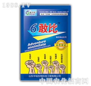 ��ԣ����-6�ұ�