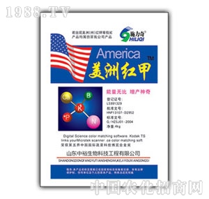 ��ԣ����-���޼t�