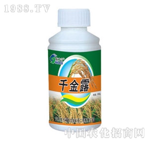 ��ԣ����-ǧ��¶