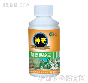 ��ԣ����-������֦�����