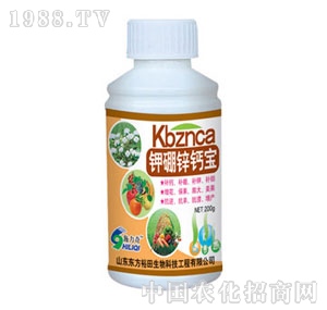 ��ԣ����-����\�}��