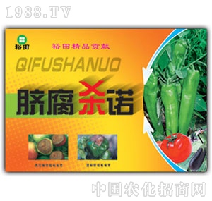 ��ԣ����-Ě�����Z