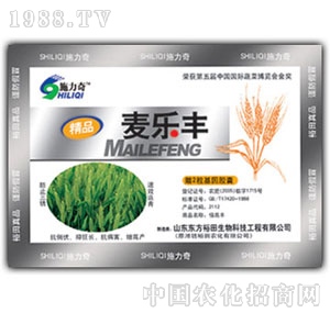 ��ԣ����-�����S