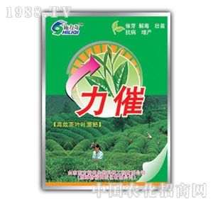 ��ԣ����-����