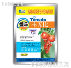 ��ԣ����-�����S�o��