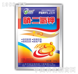 ��ԣ����-�������