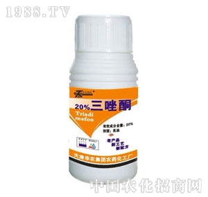 �A�r-20%����ͪ