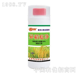 �A�r-50%��������