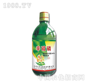 �f�S����-������