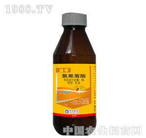 ���r(n��ng)(li��n)��-��ѽ