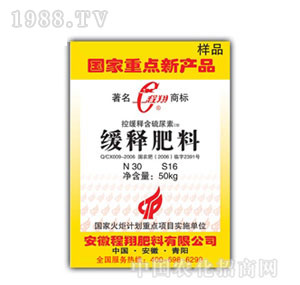 ����-��ጷ���