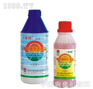 ɳ¡�_-�ݸ�좮�����