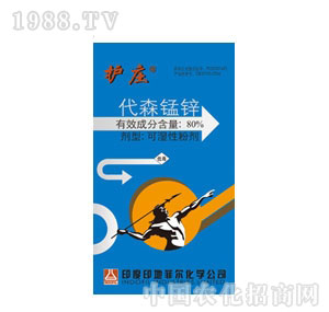 ��������-80%��ɭ�i�\