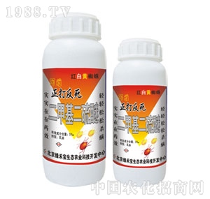 ���G�̌�-������