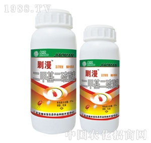 ���G�̌�-����