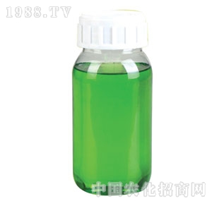 ���_(d��)-41%�ݸ�좮����@