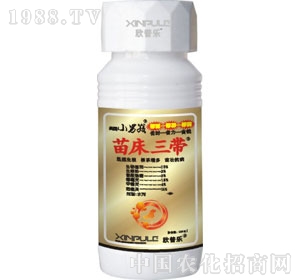 ���՘�(l��)-�紲����