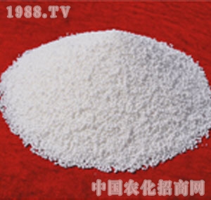 �Sϲ-���w������