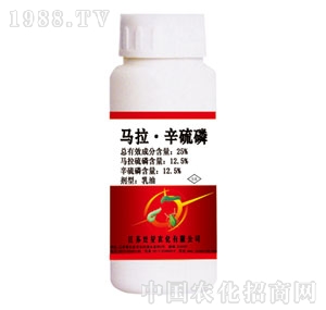 ����-�R��������