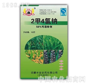 ����-2��4���c