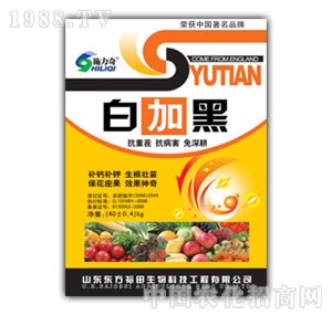 ��ԣ����-�׼Ӻ�