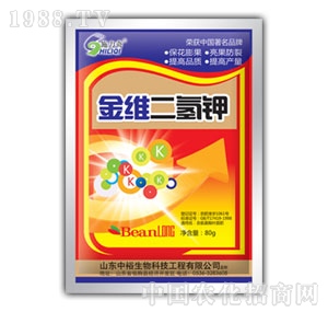 ��ԣ����-��S�����