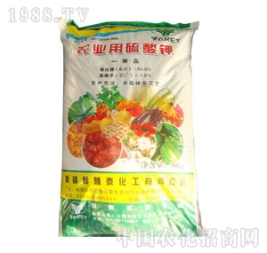 ��̩-�r�I(y��)�������