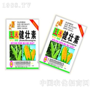 ��������-���׽�����