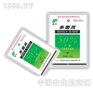 �{�S����-50%����`