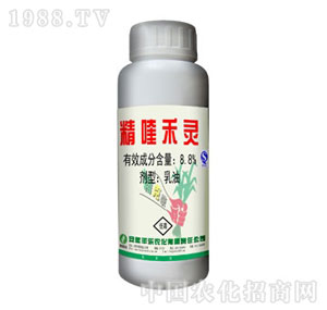 �S��-8.8%��୺��`