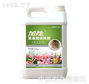 �Ϻ���ͨ-������Һ�w��