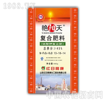 �G�(y��ng)��-��(f��)�Ϸʣ�����⛣�