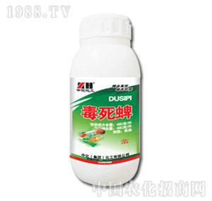 �л�����-������