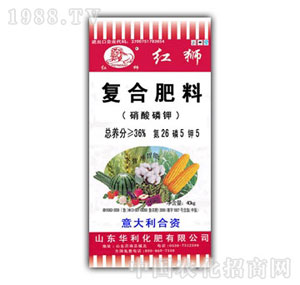 ��������-�������26-5-5