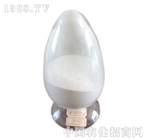 �n��-���x��ԭˎ