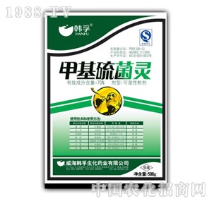 �n��-�׻�����`